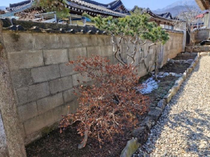 경기 양평군 용문면 단독주택다가구 경매 물건 사진 3 · 2025타경545