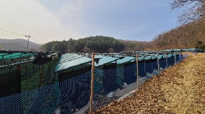 경기 여주시 금사면 전 경매 물건 사진 6 · 2025타경554
