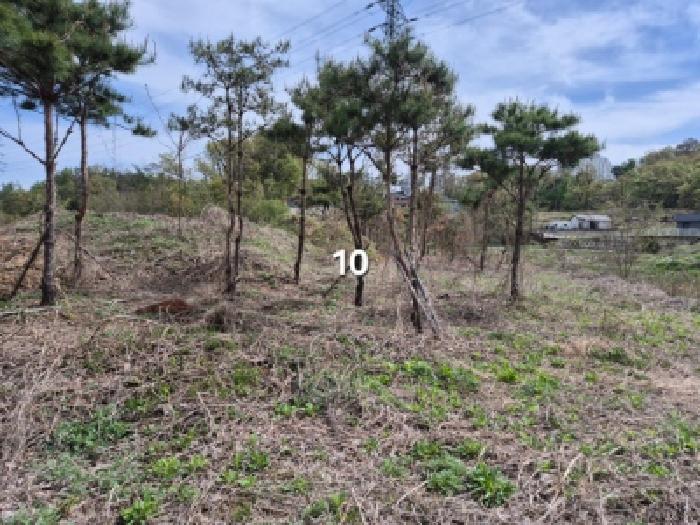 경기 이천시 사음동 답 경매 물건 사진 2 · 2025타경603