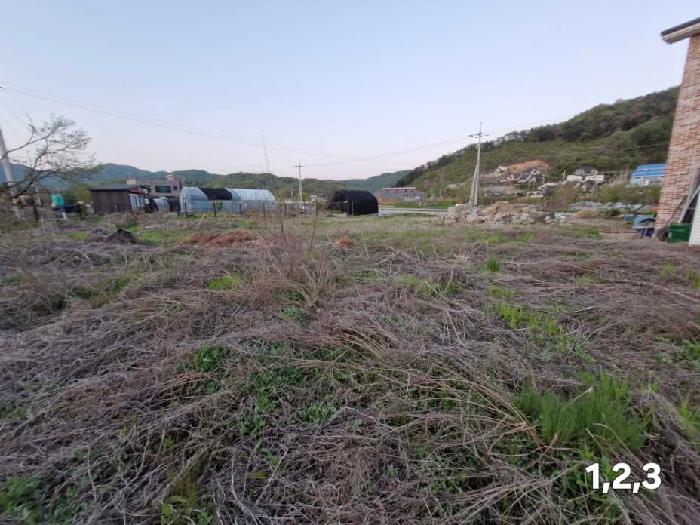 경기 양평군 양서면 대지,임야,전답 경매 물건 사진 6 · 2025타경607