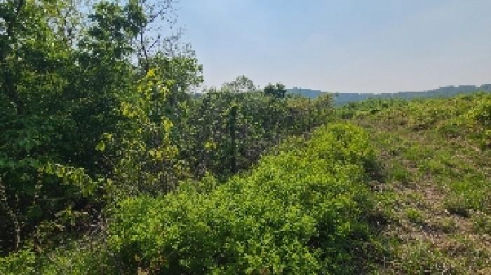 경기 양평군 양동면 전답 경매 물건 사진 3 · 2025타경614