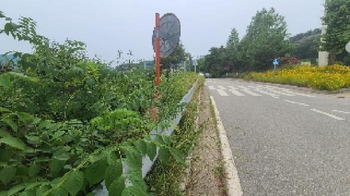 경기 여주시 산북면 전답 경매 물건 사진 5 · 2025타경674