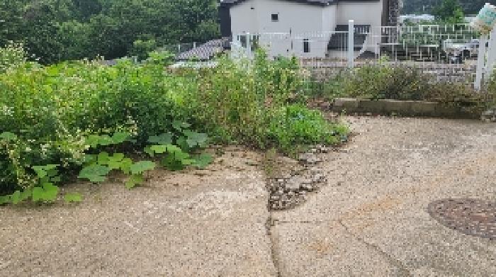경기 양평군 강상면 전답 경매 물건 사진 4 · 2025타경691