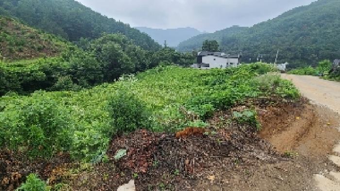 경기 양평군 강상면 전답 경매 물건 사진