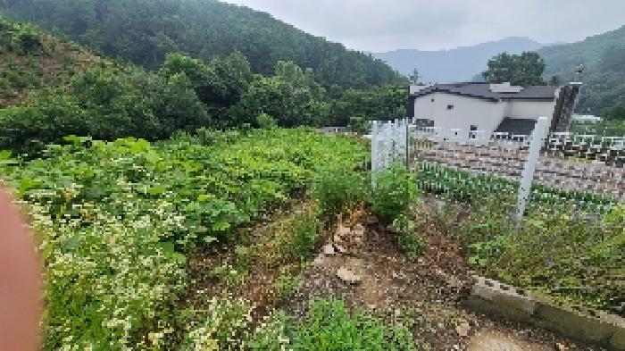 경기 양평군 강상면 전답 경매 물건 사진 3 · 2025타경691
