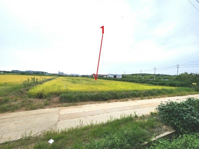 경기 평택시 고덕면 답 경매 물건 사진