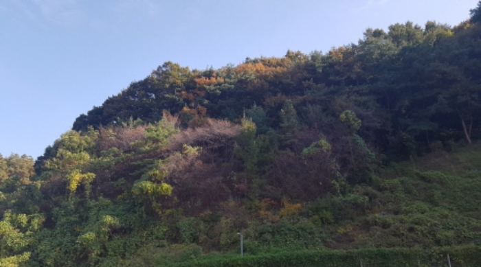 경기 안성시 원곡면 창고시설 경매 물건 사진 6 · 2024타경4726