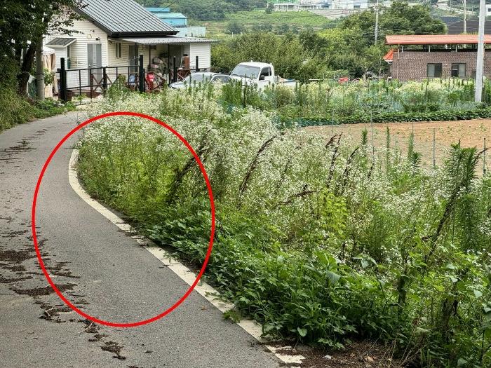 경기 안성시 미양면 전 경매 물건 사진 5 · 2024타경48399