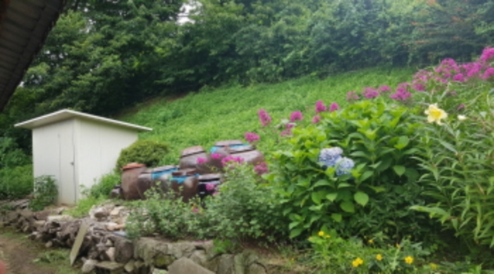 경기 안성시 일죽면 대지 경매 물건 사진 2 · 2024타경48856