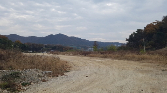 경기 안성시 보개면 임야 경매 물건 사진 2 · 2024타경4917