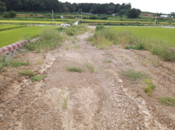 경기 평택시 고덕면 답 경매 물건 사진 2 · 2024타경50705