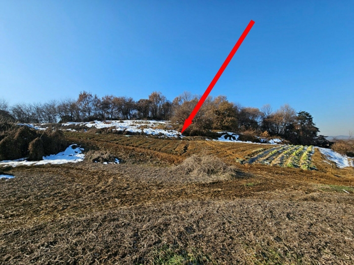 경기도 평택시 고덕면 문곡리 153-2 임야 경매 물건 사진