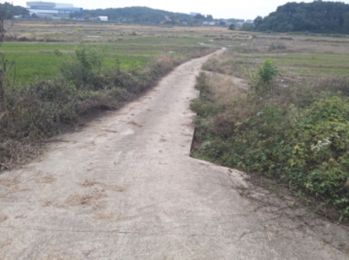 경기 평택시 현덕면 답 경매 물건 사진 4 · 2024타경52046
