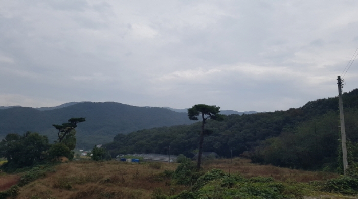 경기 안성시 보개면 임야 경매 물건 사진 2 · 2024타경52534