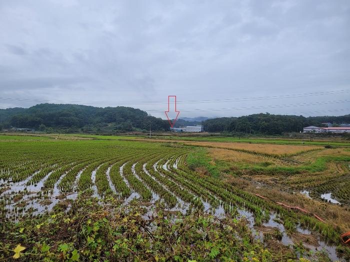 경기도 안성시 보개면 기좌리 산49 임야 경매 물건 사진