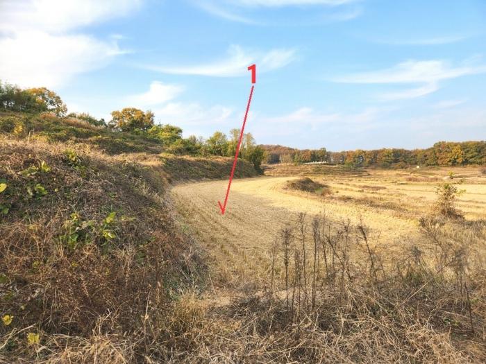 경기 평택시 현덕면 답 경매 물건 사진