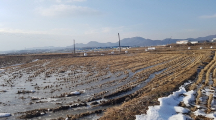 경기 안성시 대덕면 답 경매 물건 사진 6 · 2024타경55298