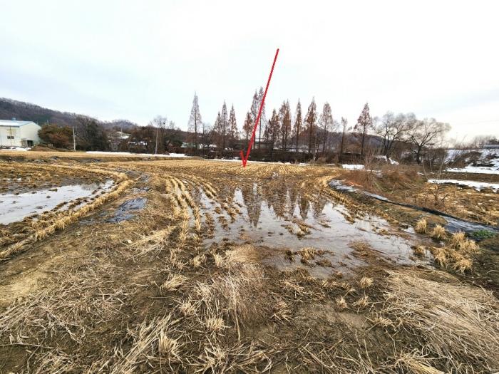 경기 안성시 대덕면 답 경매 물건 사진 4 · 2024타경55298