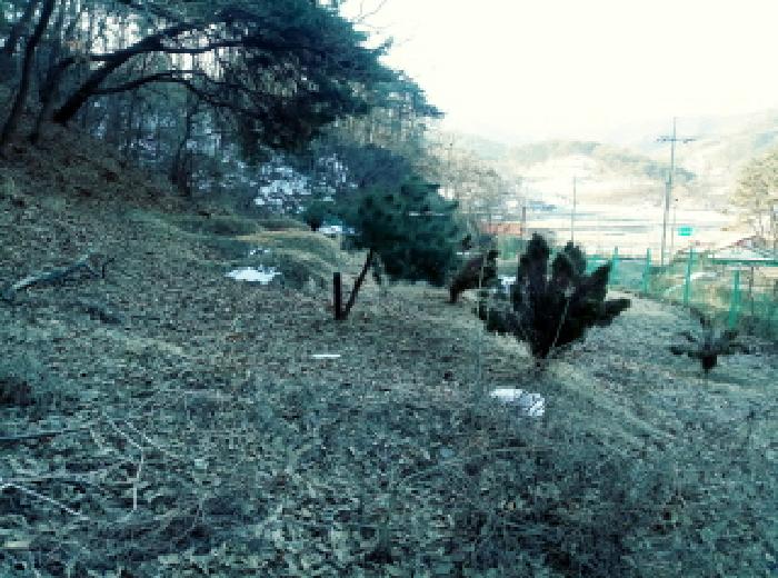 경기 안성시 금광면 전 경매 물건 사진 3 · 2025타경40392