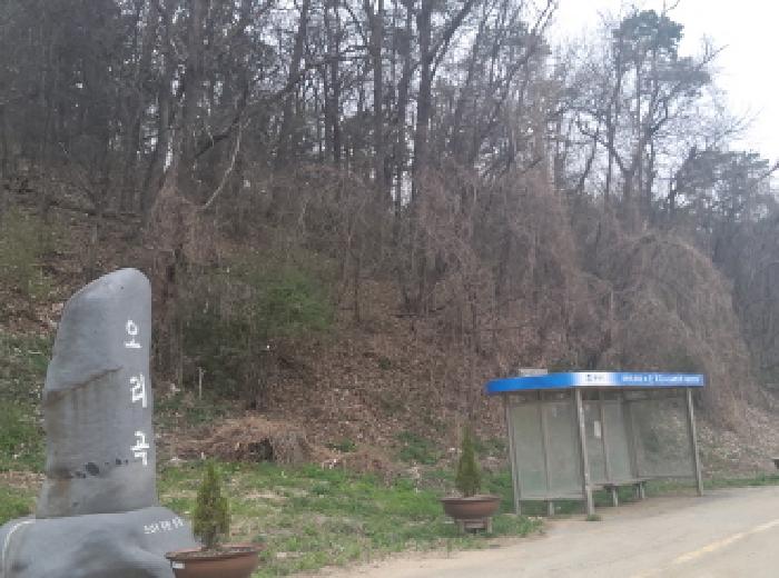 경기 평택시 독곡동 임야 경매 물건 사진 4 · 2025타경41570
