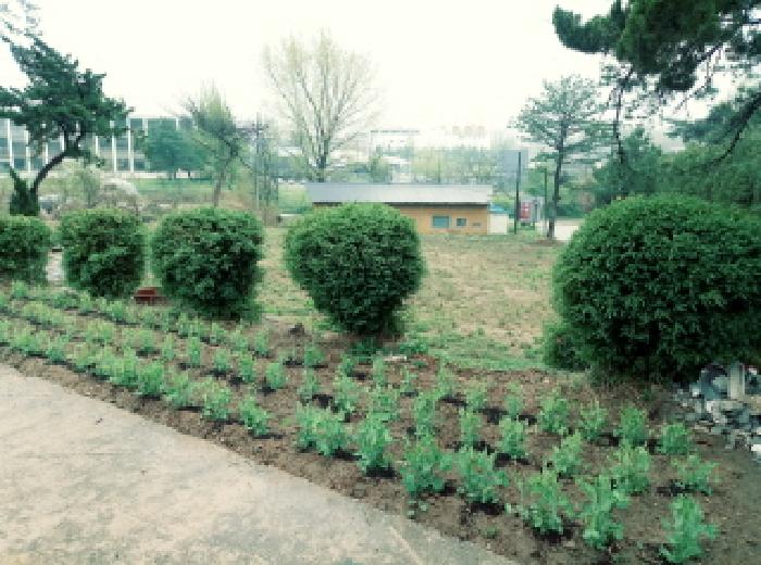 경기 안성시 미양면 상가,오피스텔,근린시설 경매 물건 사진 2 · 2025타경41719