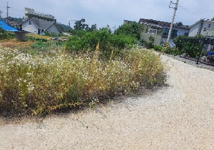 경기 평택시 안중읍 도로 경매 물건 사진 5 · 2025타경41908