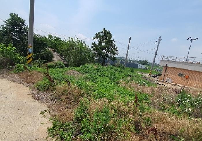 경기 평택시 안중읍 도로 경매 물건 사진 6 · 2025타경41908