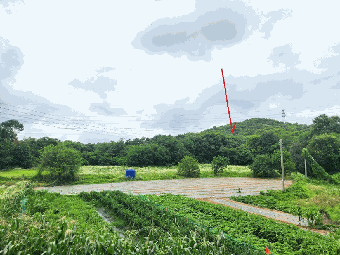 경기 평택시 청북읍 임야 경매 물건 사진 6 · 2025타경42110