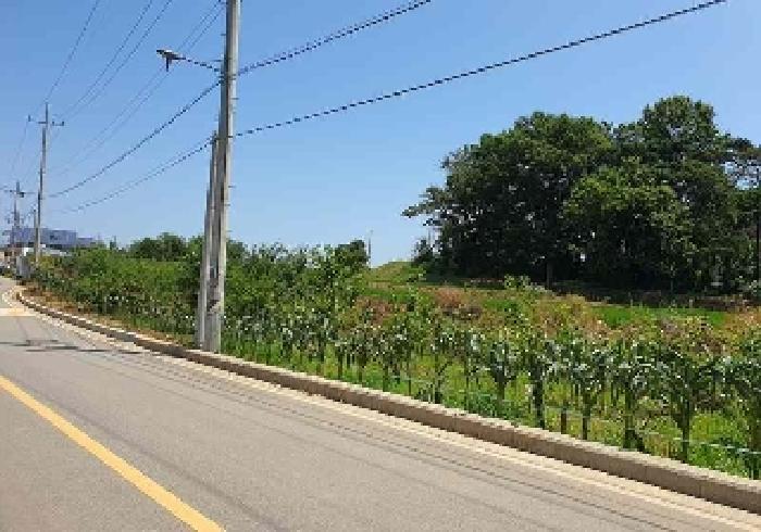 경기 평택시 현덕면 임야 경매 물건 사진