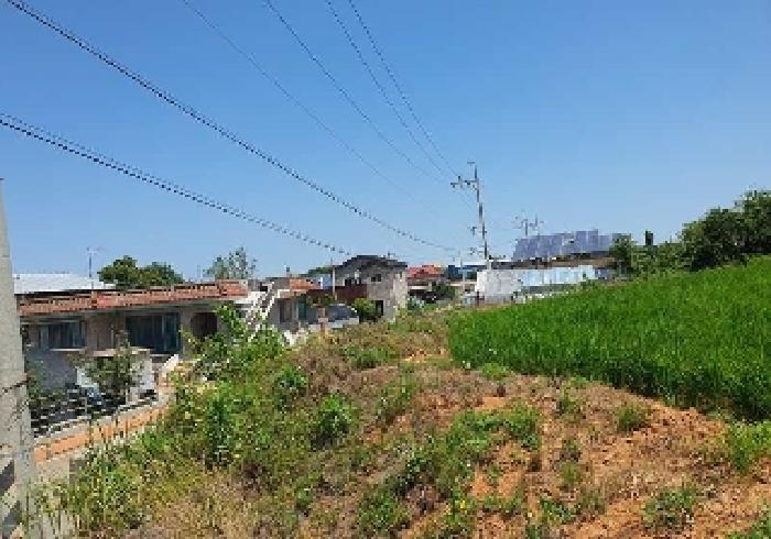 경기 평택시 현덕면 임야 경매 물건 사진 5 · 2025타경42149