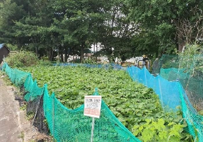 경기 평택시 서정동 대지 경매 물건 사진