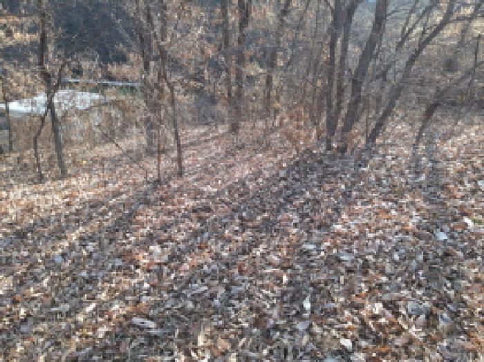 경기 안성시 죽산면 임야 경매 물건 사진 3 · 2025타경42512
