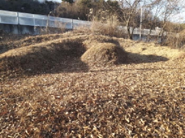 경기 안성시 죽산면 임야 경매 물건 사진 5 · 2025타경42512