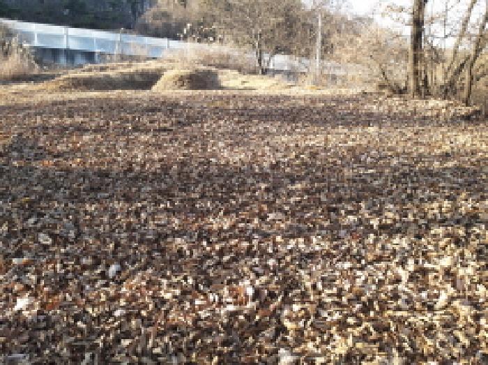경기 안성시 죽산면 임야 경매 물건 사진 2 · 2025타경42512