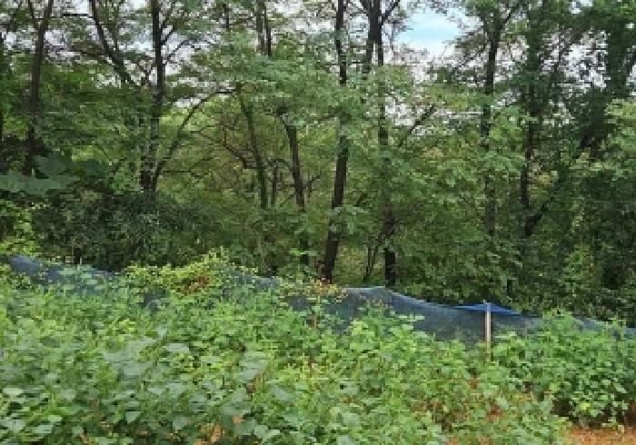 경기 평택시 포승읍 임야 경매 물건 사진 3 · 2025타경42541
