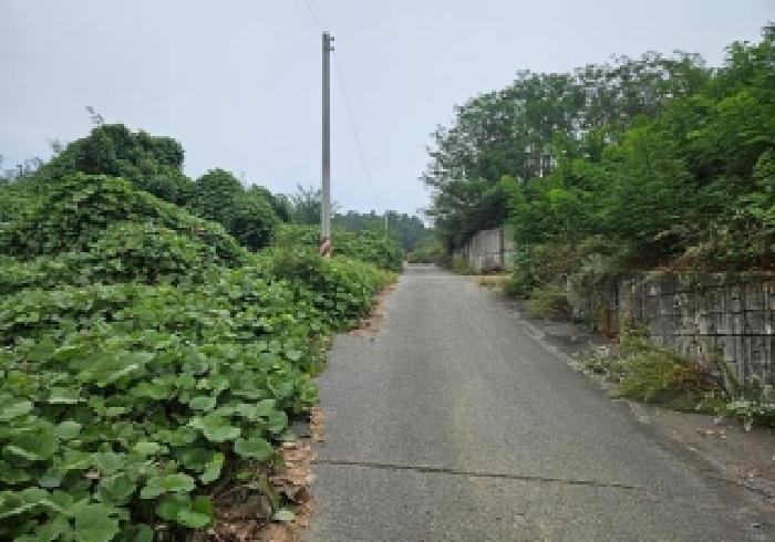 경기 평택시 현덕면 임야 경매 물건 사진 4 · 2025타경42658