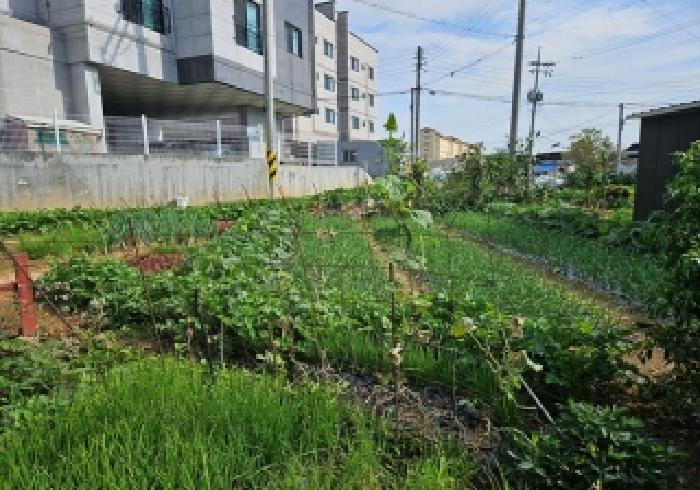 경기 평택시 팽성읍 대지 경매 물건 사진