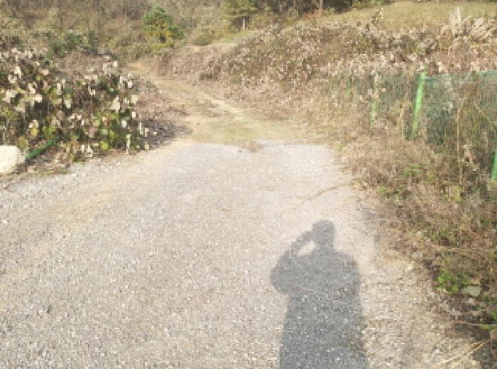 경기 안성시 공도읍 아파트 경매 물건 사진