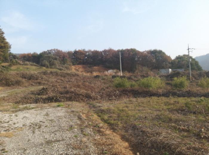 경기 안성시 공도읍 아파트 경매 물건 사진 2 · 2025타경42672
