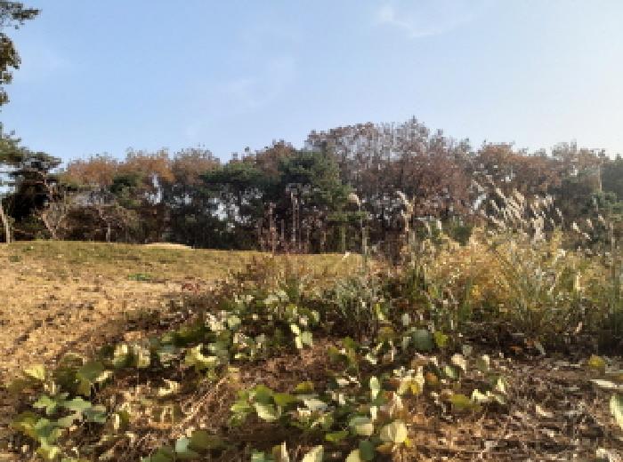 경기 안성시 공도읍 아파트 경매 물건 사진 6 · 2025타경42672
