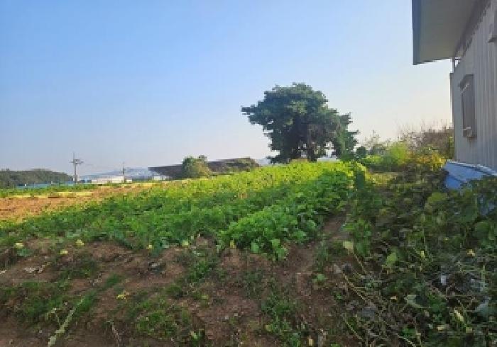 경기 평택시 서탄면 대지,임야,전답 경매 물건 사진 3 · 2025타경42714