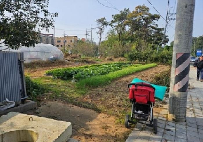 경기 평택시 안중읍 답 경매 물건 사진