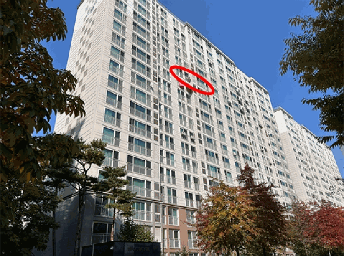 경기 안성시 공도읍 아파트 경매 물건 사진 4 · 2025타경42810