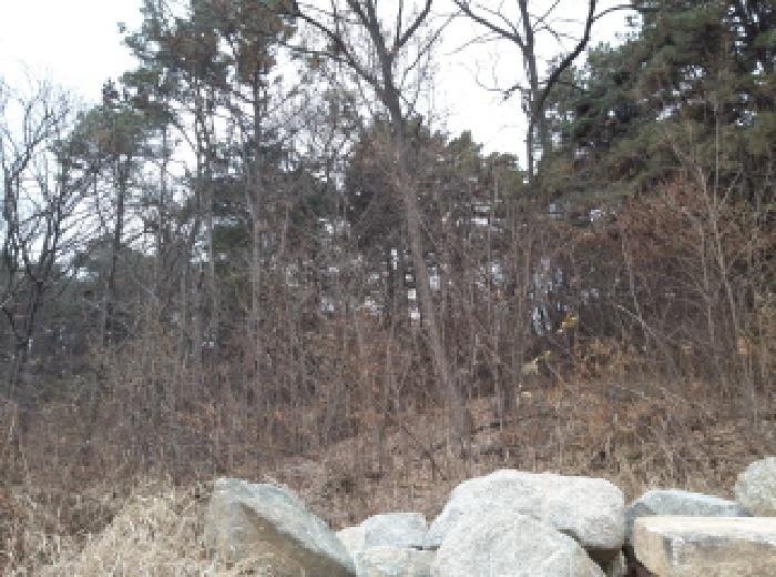 경기 안성시 원곡면 임야 경매 물건 사진 2 · 2025타경42914