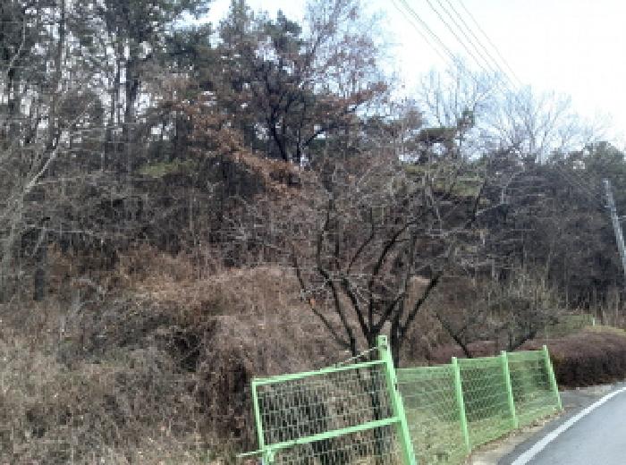 경기 안성시 원곡면 임야 경매 물건 사진 3 · 2025타경42914