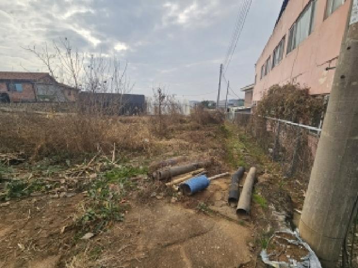 경기 평택시 오성면 전답 경매 물건 사진 5 · 2025타경42943