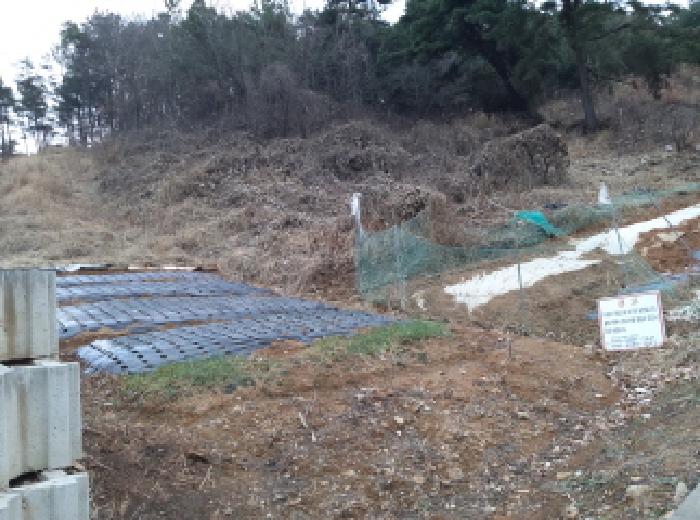 경기 안성시 원곡면 임야 경매 물건 사진