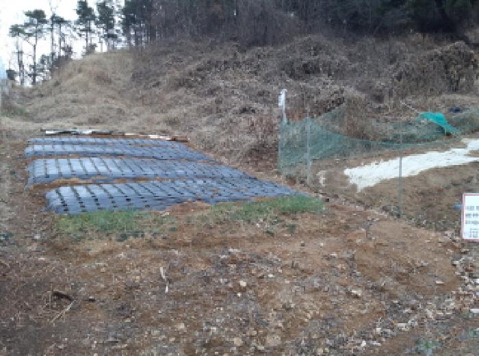 경기 안성시 원곡면 임야 경매 물건 사진 3 · 2025타경42945