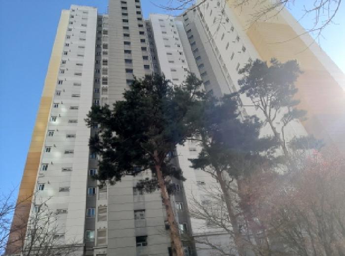 경기 평택시 세교동 아파트 경매 물건 사진