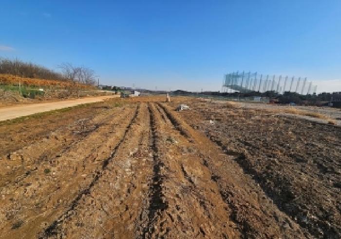 경기 평택시 포승읍 전 경매 물건 사진 5 · 2025타경42995